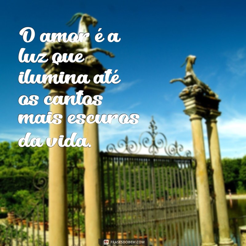 frases lindas sobre o amor O amor é a luz que ilumina até os cantos mais escuros da vida.