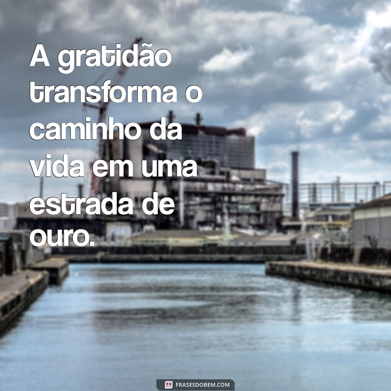 Descubra Inspirações Poderosas: Frases que Refletem o Caminho da Vida 