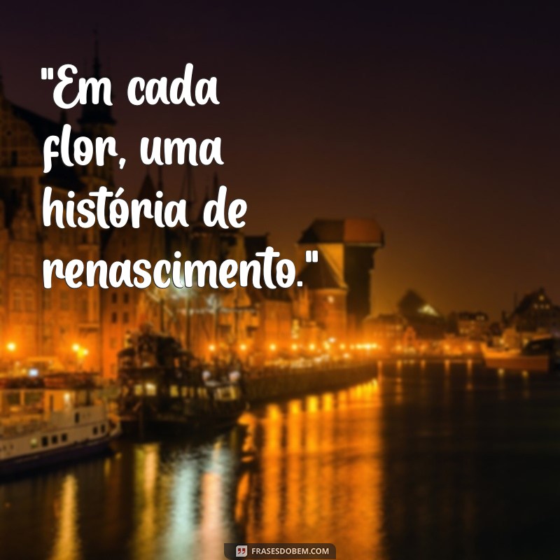 frases de jardim 