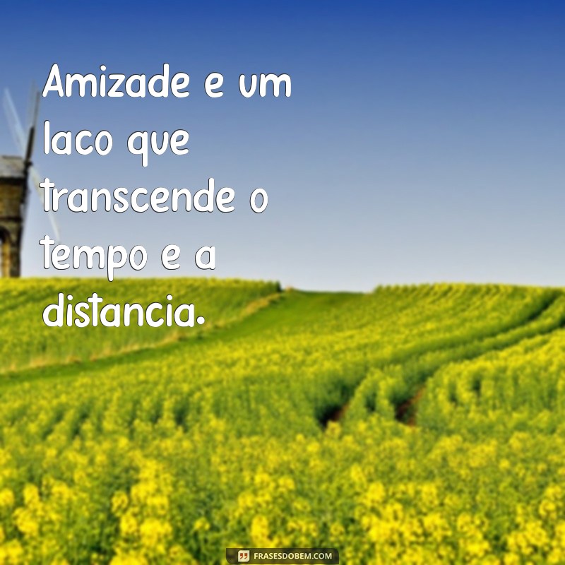 o'que significa amizade Amizade é um laço que transcende o tempo e a distância.