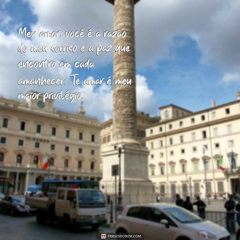 textos declaração de amor Meu amor, você é a razão do meu sorriso e a paz que encontro em cada amanhecer. Te amar é meu maior privilégio.