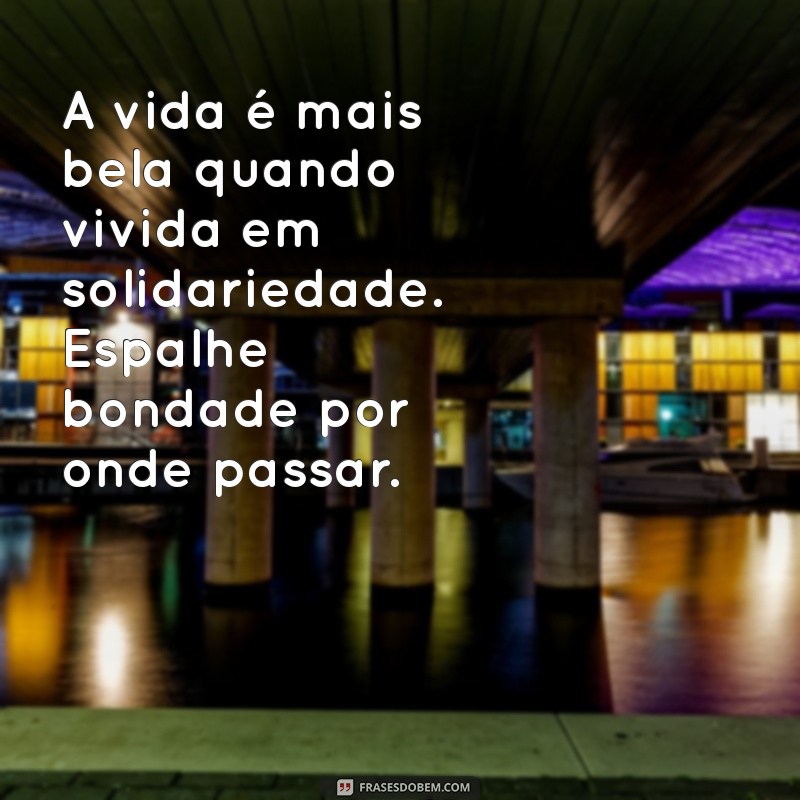 Solidariedade: A Importância de Estar Junto em Tempos Difíceis 