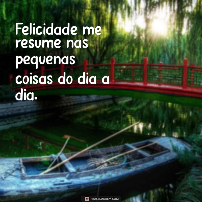 felicidade me resume Felicidade me resume nas pequenas coisas do dia a dia.