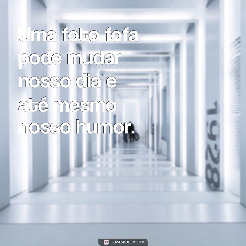 Descubra as Melhores Frases Tumblr para Fotos Fofas e Encantadoras! 