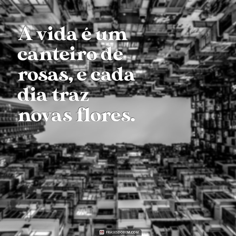 Frases Inspiradoras sobre Rosas para Compartilhar no Tumblr 