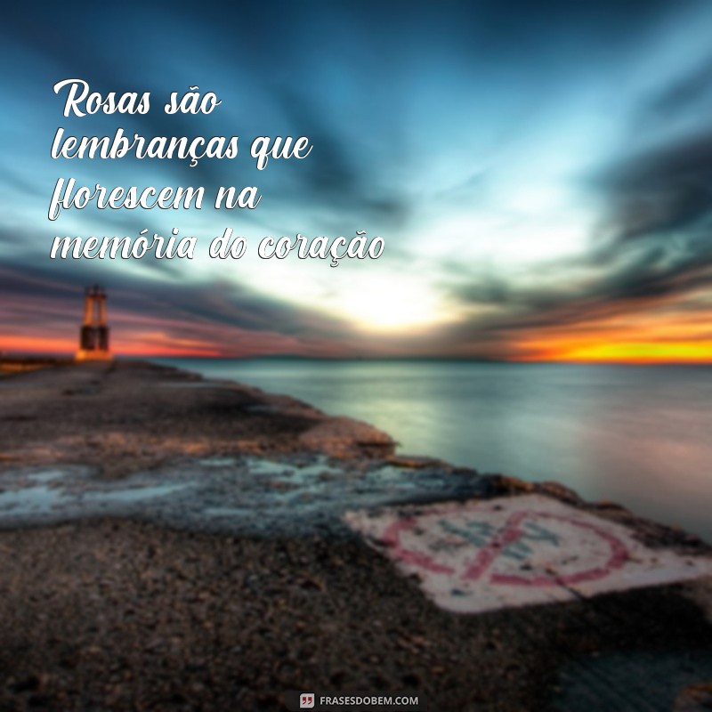 Frases Inspiradoras sobre Rosas para Compartilhar no Tumblr 