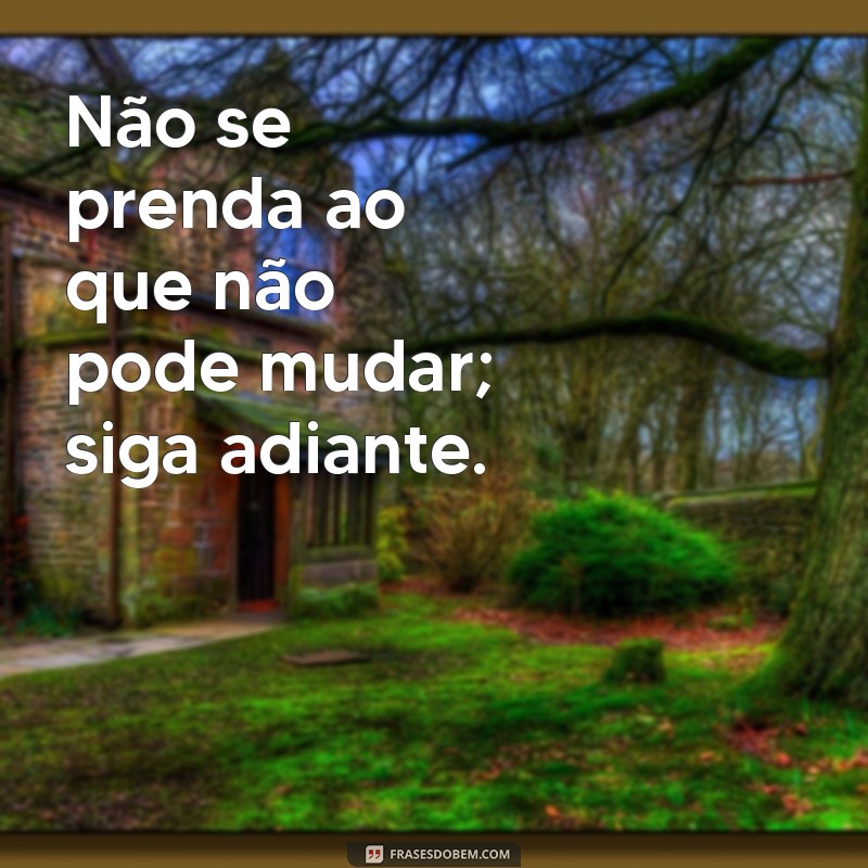 Frases Inspiradoras para Seguir em Frente e Transformar sua Vida 