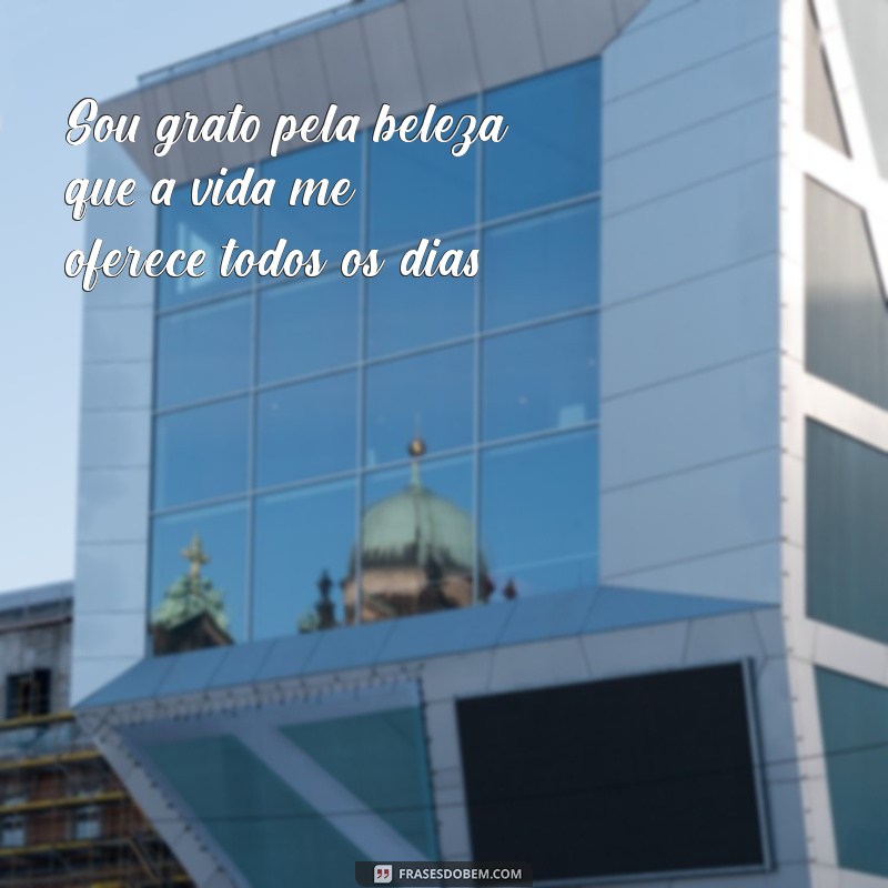 Frases Inspiradoras de Agradecimento para Apreciar os Pequenos Gestos 