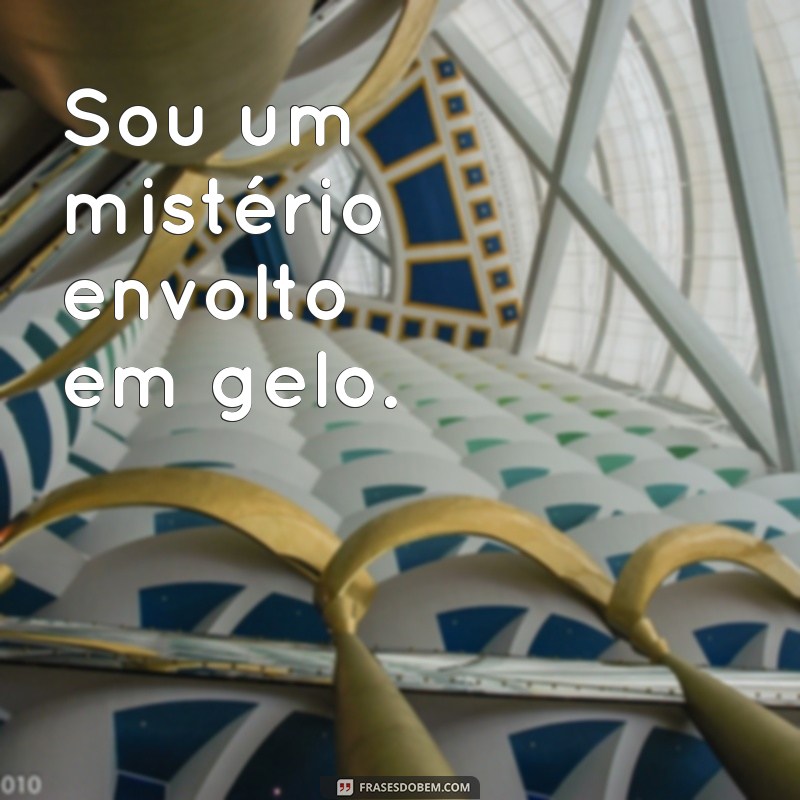 As Melhores Frases Frias para Transformar Sua Bio em um Estilo Único 