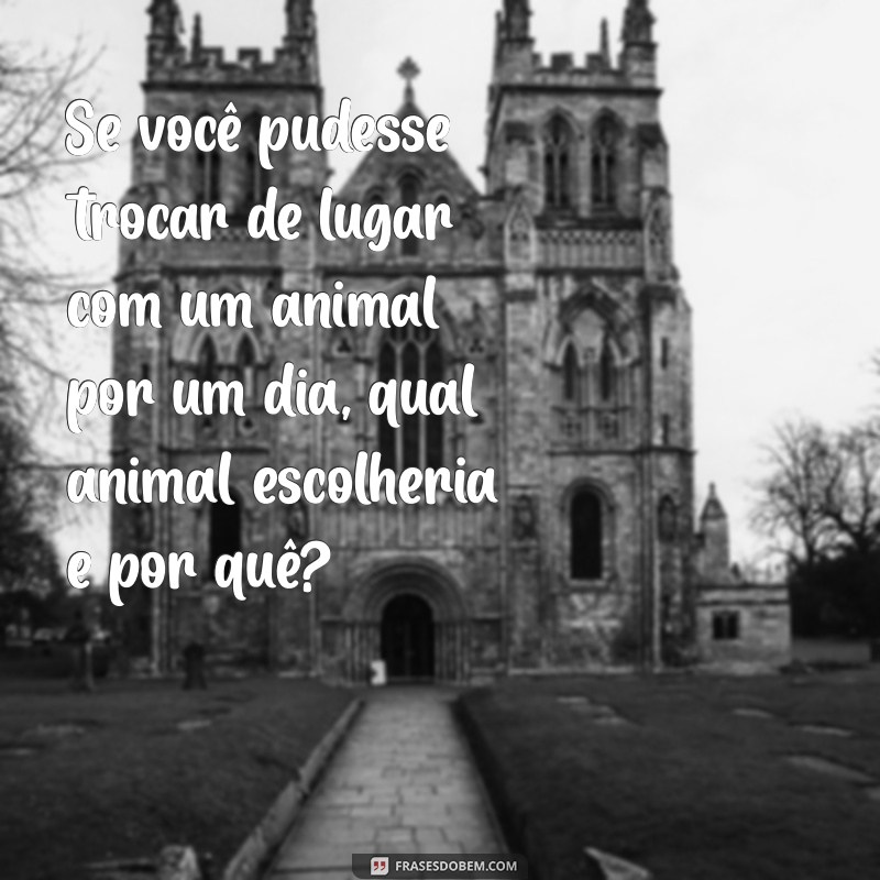 perguntas doidas Se você pudesse trocar de lugar com um animal por um dia, qual animal escolheria e por quê?