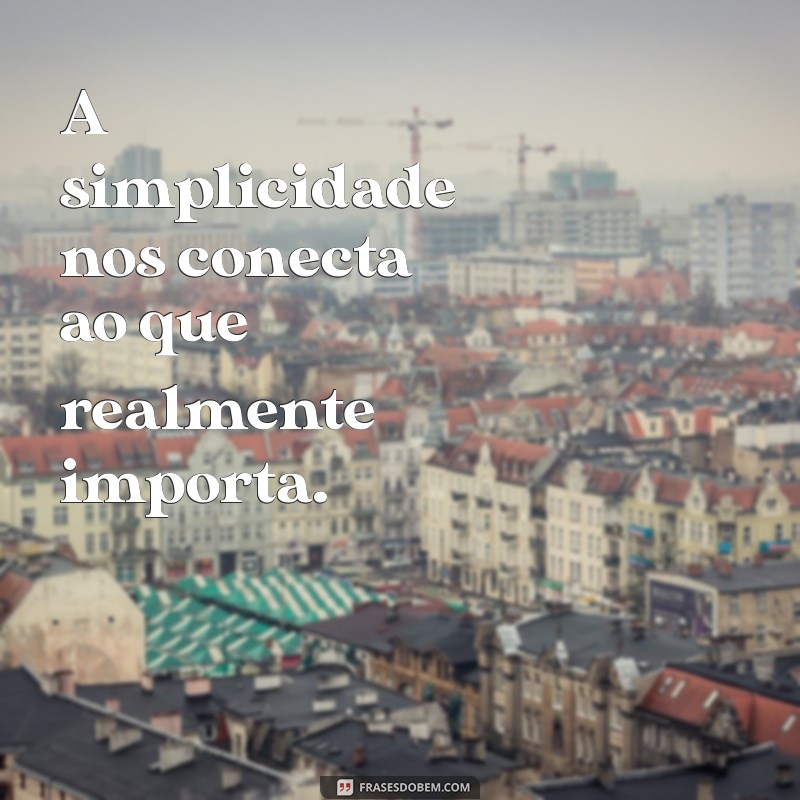 Descubra o Poder da Simplicidade: Como Simplificar Sua Vida e Aumentar Sua Felicidade 