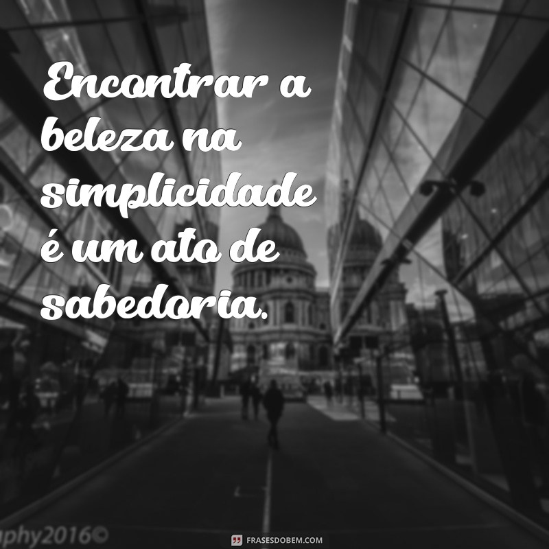 Descubra o Poder da Simplicidade: Como Simplificar Sua Vida e Aumentar Sua Felicidade 