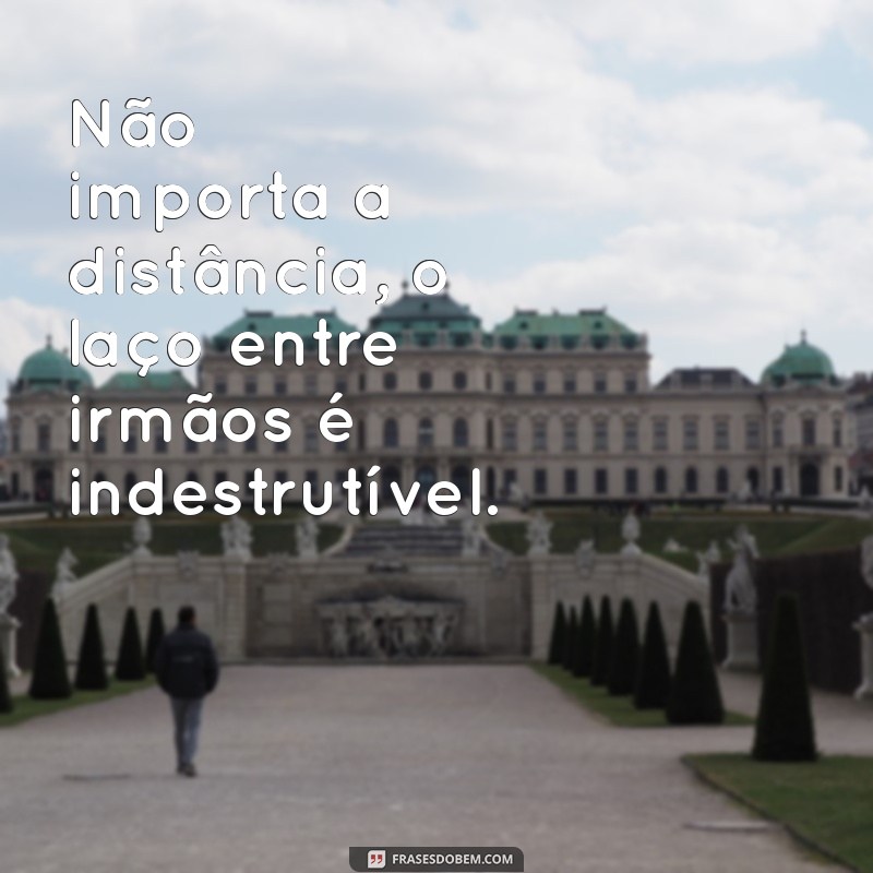 50 Frases Criativas para Legendar Fotos com Seu Irmão 