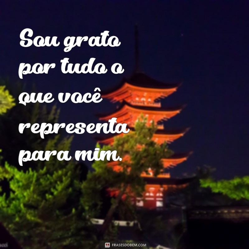 Descubra as melhores frases de agradecimento para expressar sua gratidão 