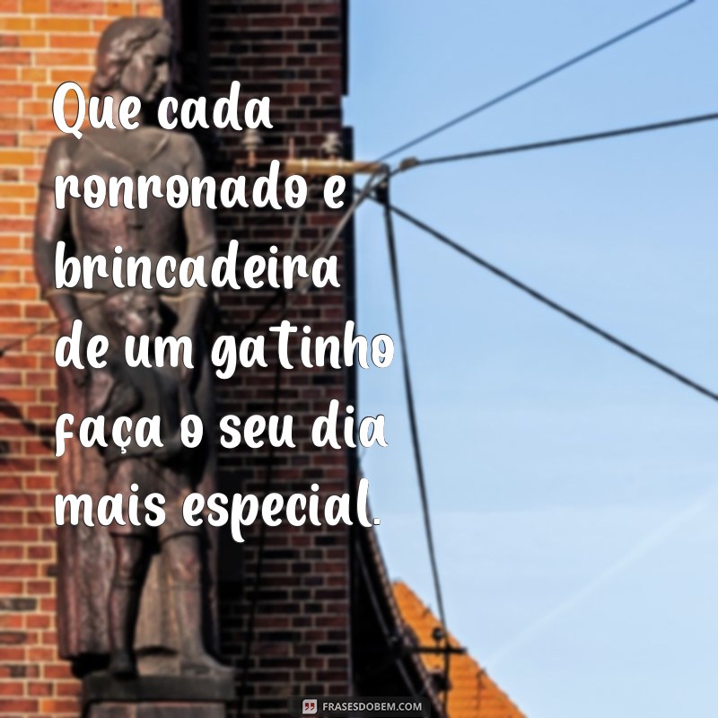 Encante seu dia com as melhores frases de bom dia com gatinhos! 