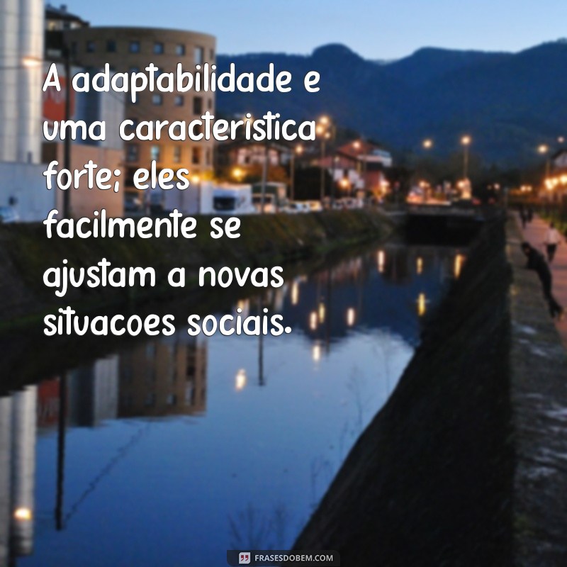 Descubra o Que é uma Pessoa Extrovertida: Características e Comportamentos 