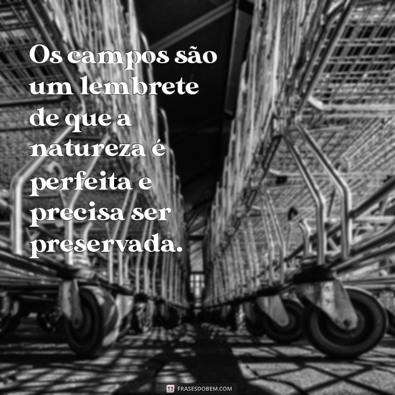 Descubra as melhores frases de impacto para arrasar em todos os campos da sua vida! 