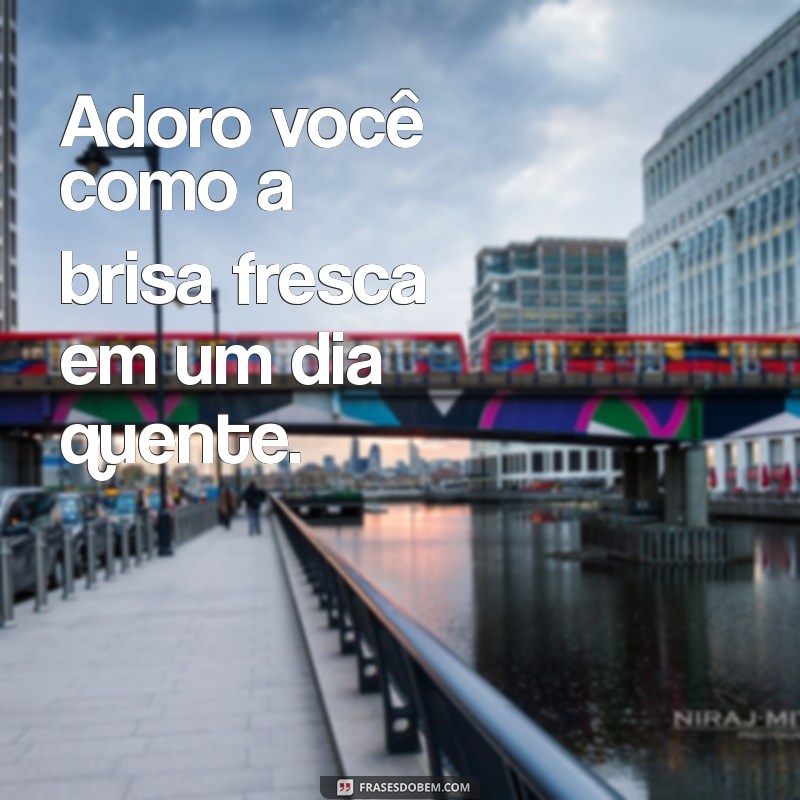 As Melhores Frases para Dizer Adoro Você e Encantar Seu Amor 