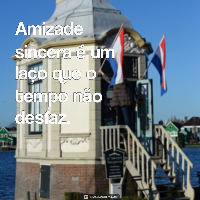 Frases Inspiradoras sobre Amizade Verdadeira: Celebre Seus Amigos 