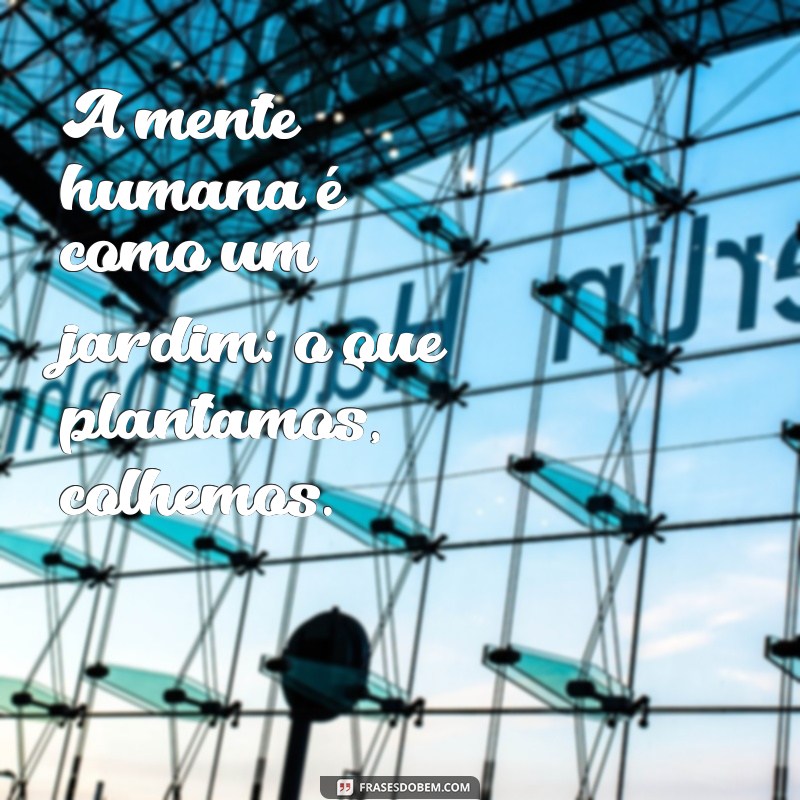 Frases Impactantes da Psicologia para Inspirar e Refletir 