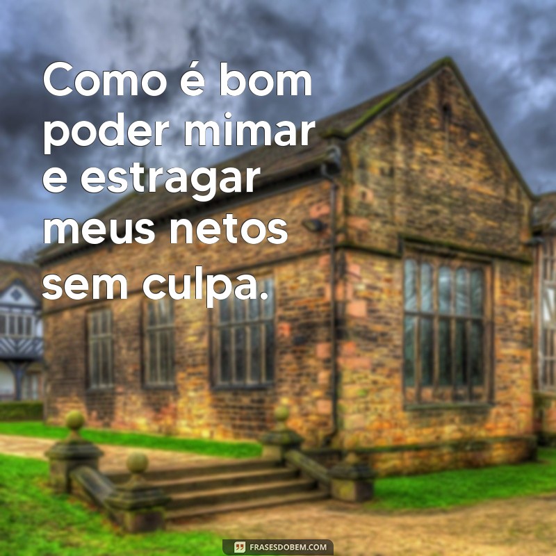 Encante seus netos com as melhores frases para o Dia dos Netos 