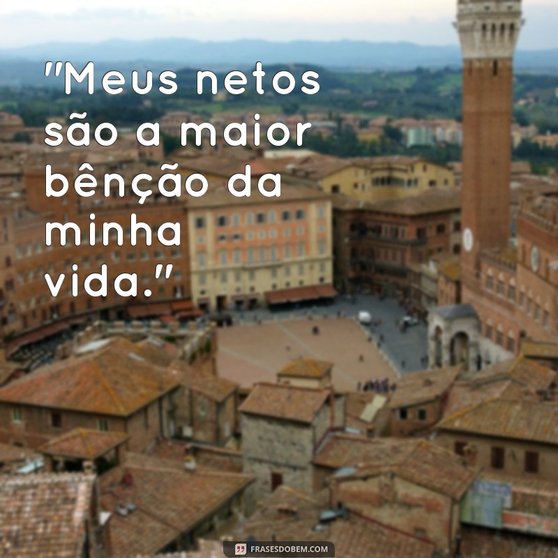 frases dia dos netos 