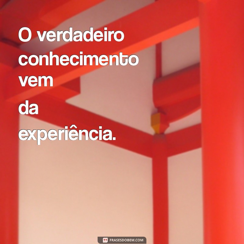 Inspire-se com as Melhores Frases sobre Cursos e Aprendizado 