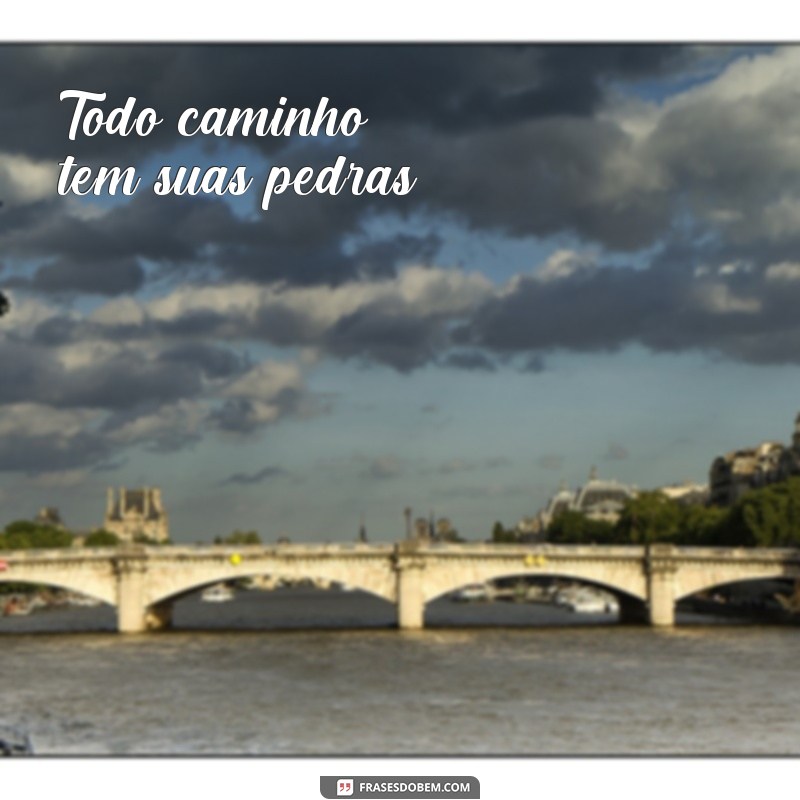 frases de pedras no caminho Todo caminho tem suas pedras.