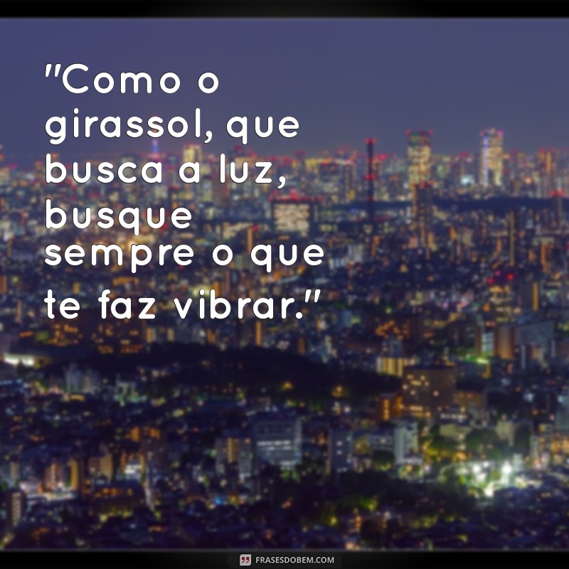 frases girassol - pensador 