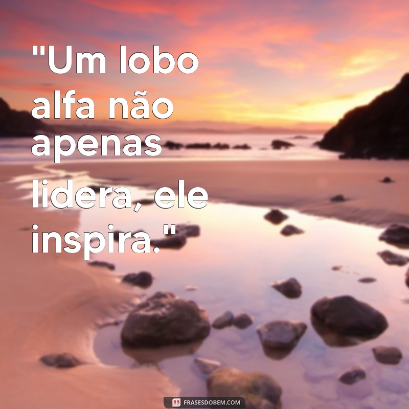 frases lobo alfa 