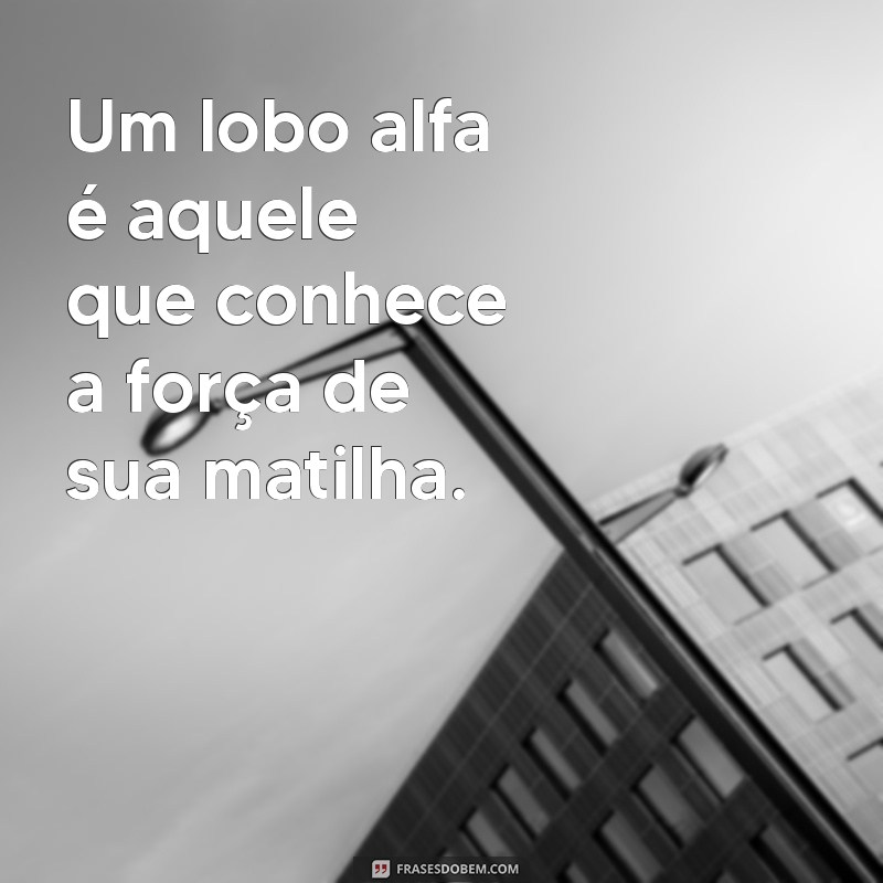 Frases Poderosas de Lobo Alfa para Inspirar Confiança e Liderança 