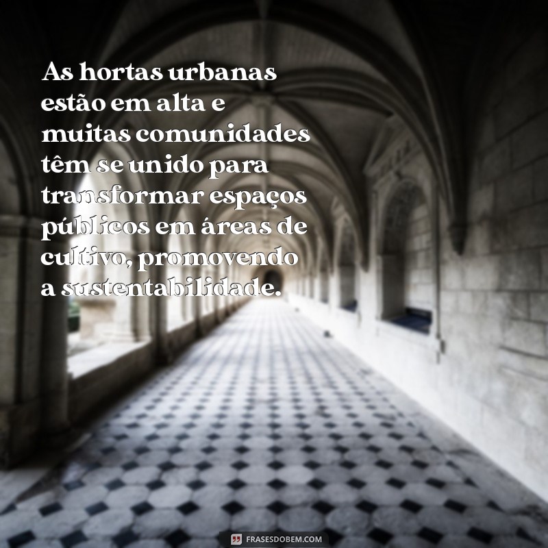 Como Criar e Manter uma Horta em Casa: Dicas Essenciais para Iniciantes 