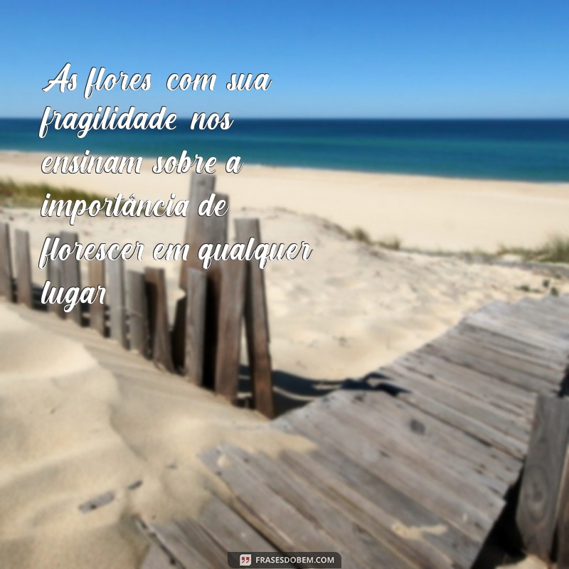 Descubra Frases Inspiradoras para Contemplar a Beleza da Natureza 