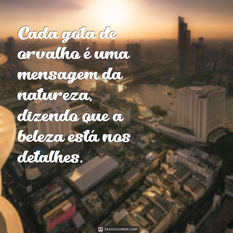 Descubra Frases Inspiradoras para Contemplar a Beleza da Natureza 