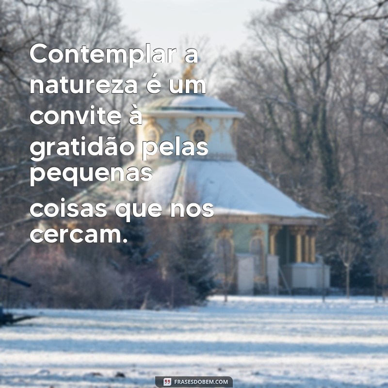 Descubra Frases Inspiradoras para Contemplar a Beleza da Natureza 