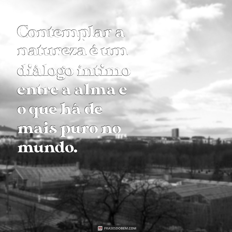 Descubra Frases Inspiradoras para Contemplar a Beleza da Natureza 