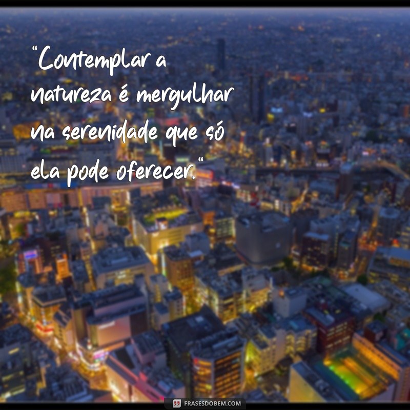 frases sobre contemplar a natureza 