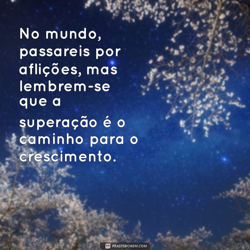 no mundo passareis por aflições No mundo, passareis por aflições, mas lembrem-se que a superação é o caminho para o crescimento.