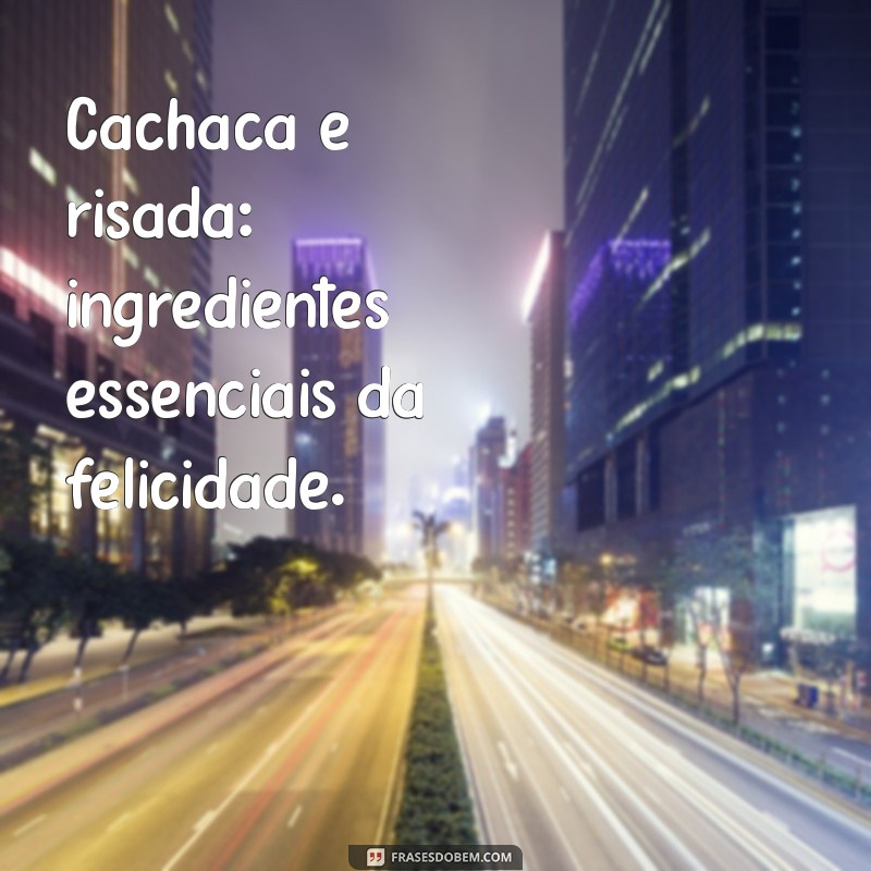 As Melhores Frases de Cachaceiro para Animar Seu Dia 