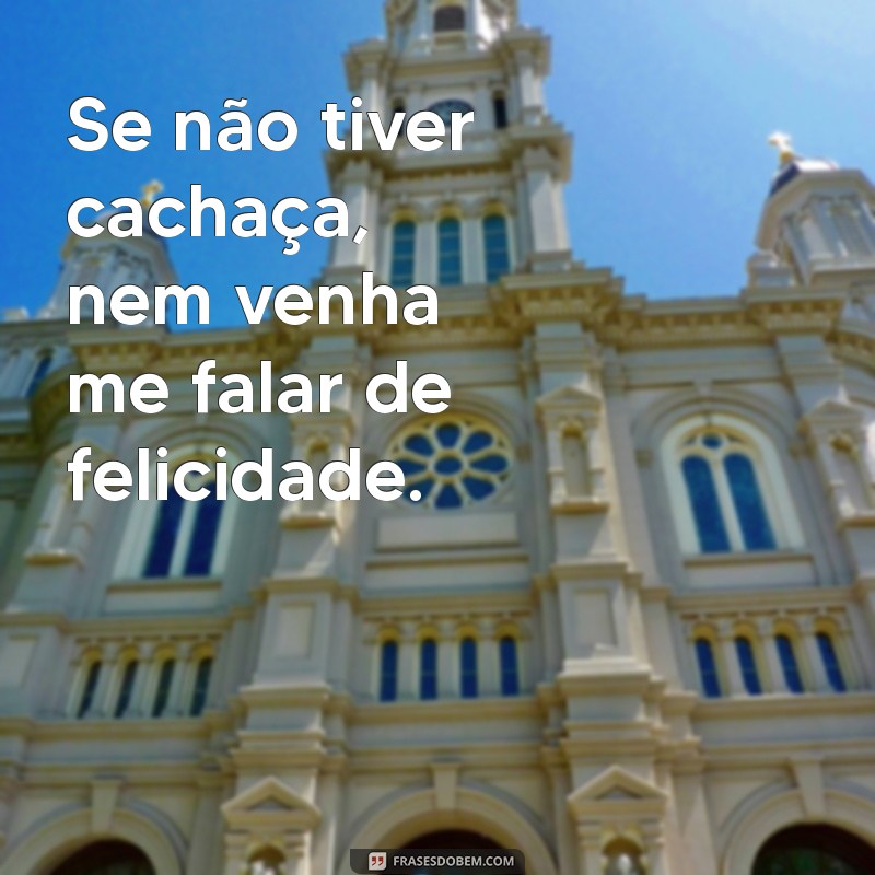 As Melhores Frases de Cachaceiro para Animar Seu Dia 