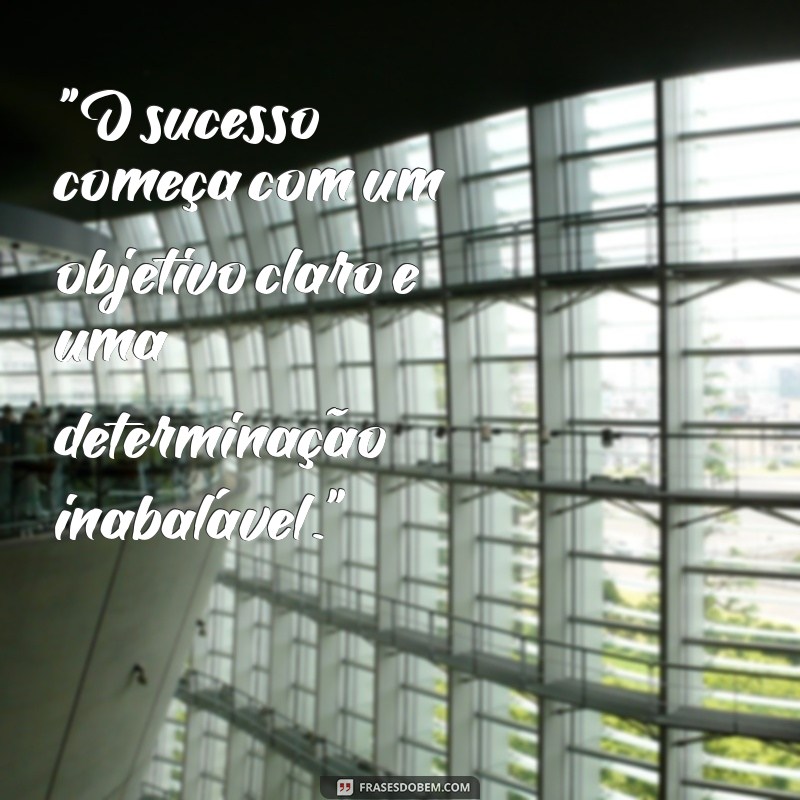 frases para objetivo profissional 