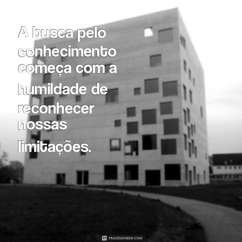 o que significa a frases só sei que nada sei A busca pelo conhecimento começa com a humildade de reconhecer nossas limitações.