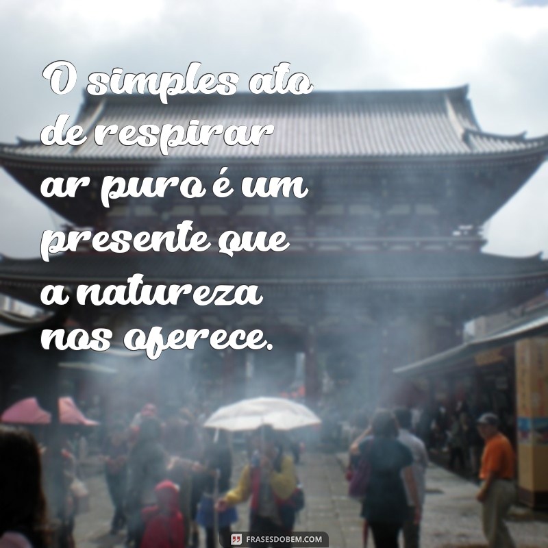 Frases Inspiradoras sobre Natureza e Paz para Conectar-se com o Mundo 