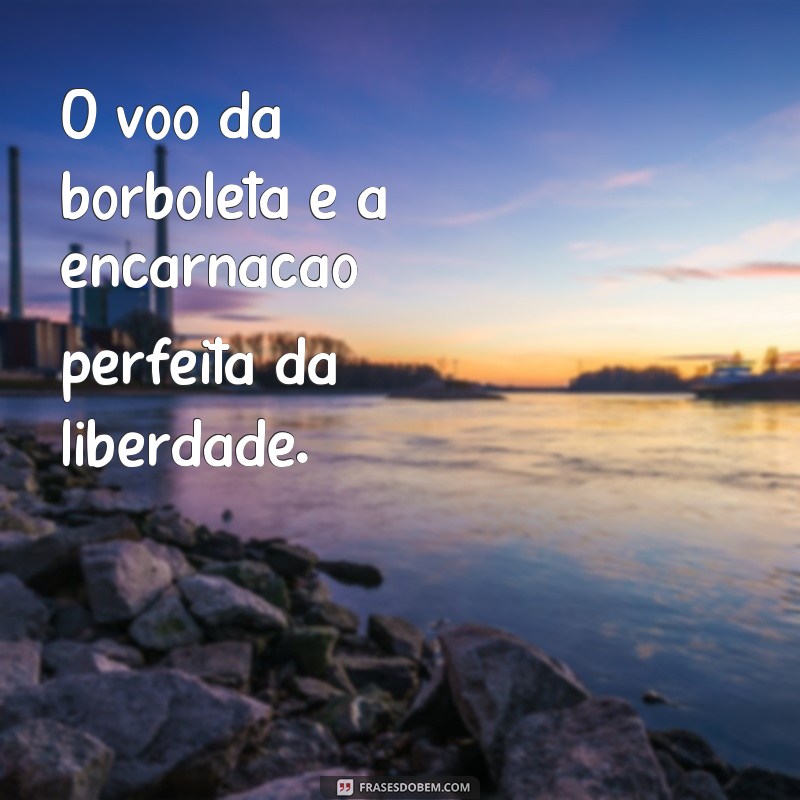 Encante seu perfil com as mais belas frases de borboletas 