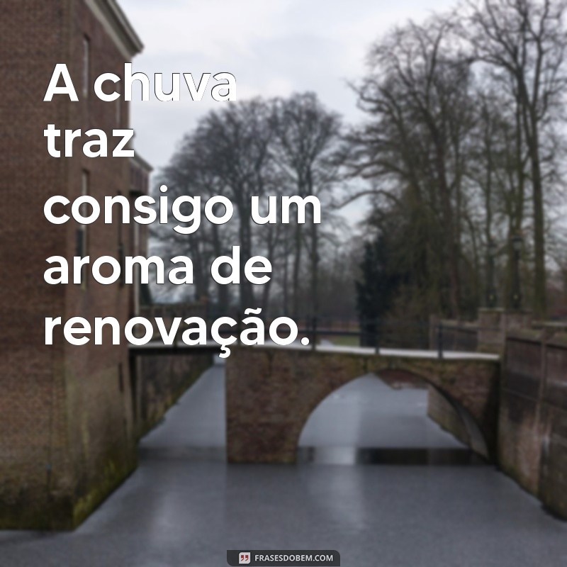 tempinho de chuva A chuva traz consigo um aroma de renovação.