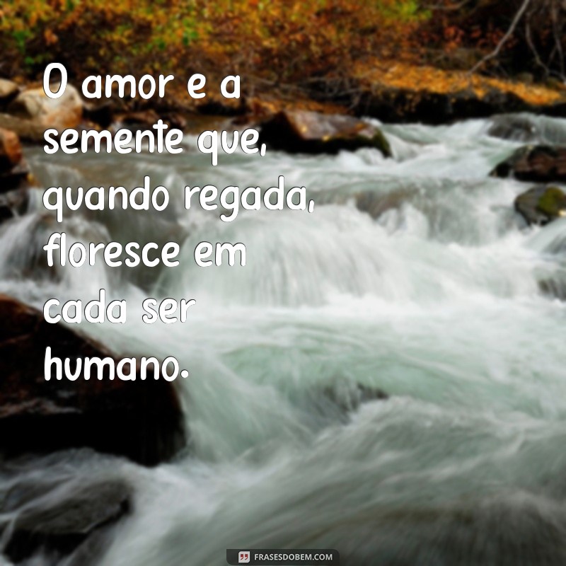 Frases Inspiradoras para Semear Amor e Positividade no Dia a Dia 