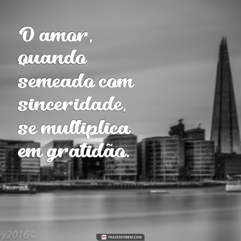 Frases Inspiradoras para Semear Amor e Positividade no Dia a Dia 