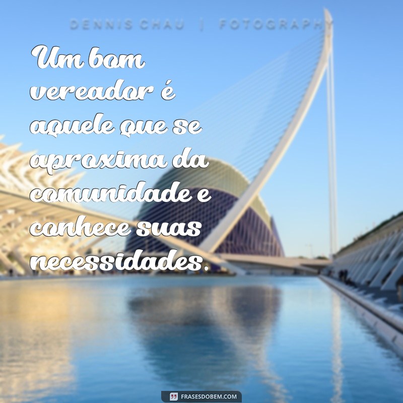 Frases Inspiradoras de Vereadores: Reflexões e Compromissos para a Cidade 