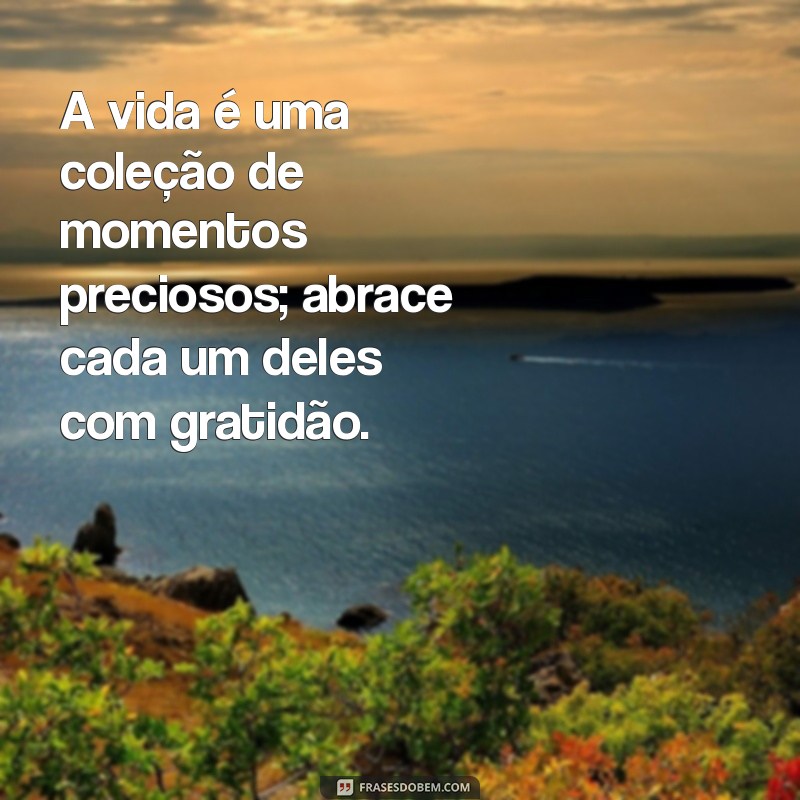 mensagem comovente A vida é uma coleção de momentos preciosos; abrace cada um deles com gratidão.