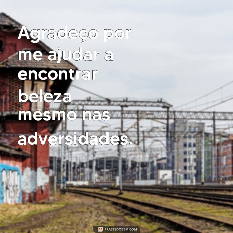 Frases Inspiradoras de Agradecimento a Nossa Senhora: Expresse sua Gratidão 